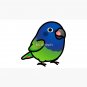 Chubby Blue-headed Pionus Parrot Cap