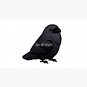 Chubby Raven Cap