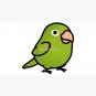 Chubby White-eyed Conure Cap