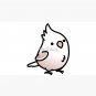 Chubby White-faced Cinnamon Pied-Pearl Cockatiel Cap