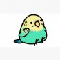 Chubby Yellow and Green Blue Budgie Cap