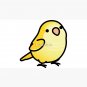 Chubby Yellow Quaker Parrot Cap