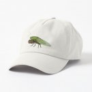 Cicada Playing a Squeezebox Cap