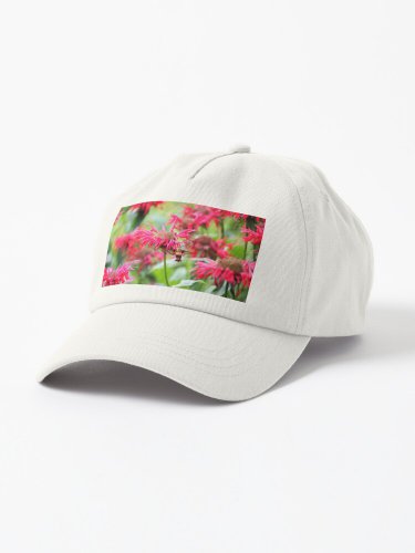 Clear Wing Hover Moth Cap