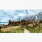 Coastal path at Crail in Fife, Scotland [Colour version] Cap