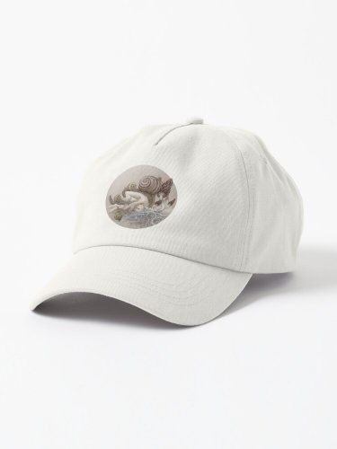 Disappear Cap