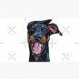 Doberman Art Cap