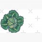 dreaming cabbages Cap