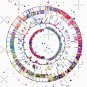 Genomics, Science, Science Art, Dna, Dna Print, Watercolor Dna Racerback Tank Top