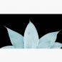 Green Agave on Black #1 #tropical #decor #art Cap