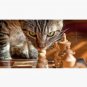 Green Eyed Cat Strategizes Next Chess Move Cap
