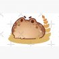 Grumpy desert rain frog Cap