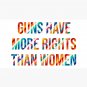 Guns Have More Rights Than Women Cap