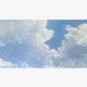 Harmonies Beyond Horizons  Cap