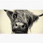 Highland Cow Cap