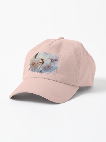 honey bee on apricot flowers Cap
