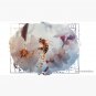 honey bee on apricot flowers Cap