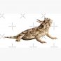 Horned Toad Portrait Cap