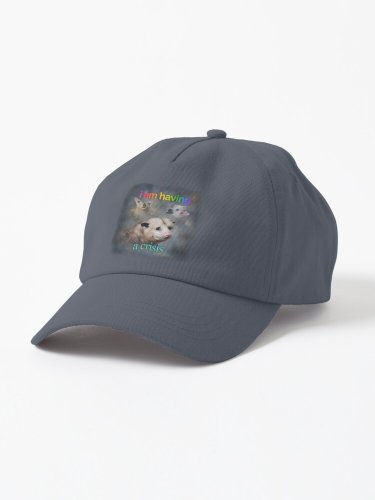 I am having a crisis possum word art Cap