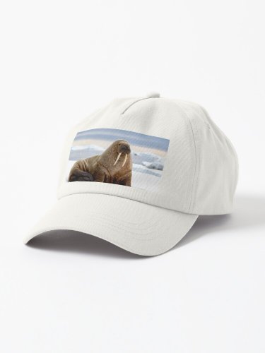 I Am the Walrus Cap