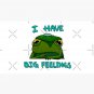 I Have Big Feelings Frog Cap