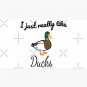 I just really like Ducks Cap