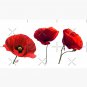 I love red poppies Cap