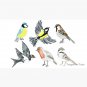 Illustrated Birds Cap