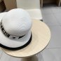 Celine's new straw hat, a high-end custom made in grass color for socialites (3)