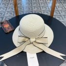 Celine's new straw hat, a high-end custom made in grass color for socialites (5)
