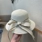 Celine's new straw hat, a high-end custom made in grass color for socialites (5)