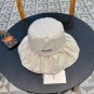 Celine's new straw hat, a high-end custom made in grass color for socialites (8)
