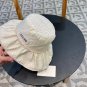 Celine's new straw hat, a high-end custom made in grass color for socialites (8)