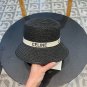 Celine's new straw hat, a high-end custom made in grass color for socialites (9)