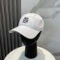 Roewe 2025 New all-season wearable Hat (28)