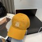 Roewe 2025 New all-season wearable Hat (29)