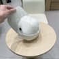 Chanel(New single baseball cap jacquard top layer cowhide fashion (102)