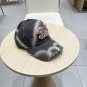 Chanel(New single baseball cap jacquard top layer cowhide fashion (191)