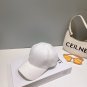 LV New Baseball Cap (62)