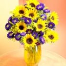 Cheerful Sunflower