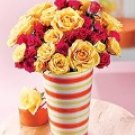 Cheerful Yellow