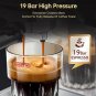 PSH11-SR capsule + coffee powder + milk foam 3-in-1 semi-automatic  19Bar