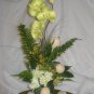 Rima Orchid