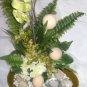 Rima Orchid
