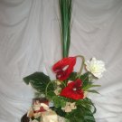 Rima Exotic