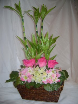 Rima  Roses with Hydrangeas