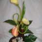 Rima Ikebana