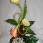 Rima Ikebana