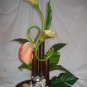 Rima Ikebana
