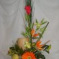 Rima Tropical Dream